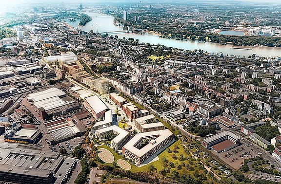ID_Cologne.jpg